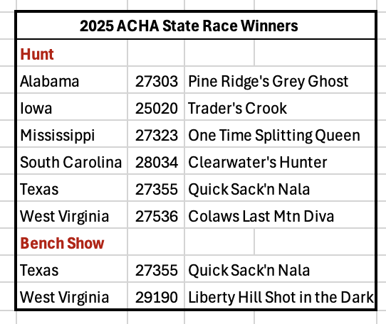 2025 Stet Race Winners